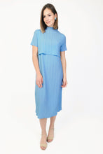 Load image into Gallery viewer, The Gaia Crinkled Dress